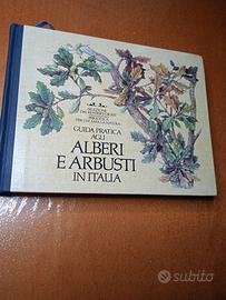 Guida agli alberi e arbusti in Italia 