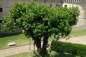 In centro. A due passi dal mare