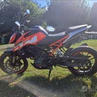 KTM> Duke 125 Akrapovic