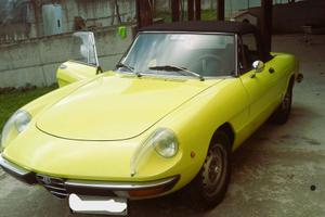 ALFA ROMEO 2000 SPIDER VELOCE