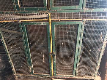 Gabbie per uccelli la grande 4 scomoarti grandi x