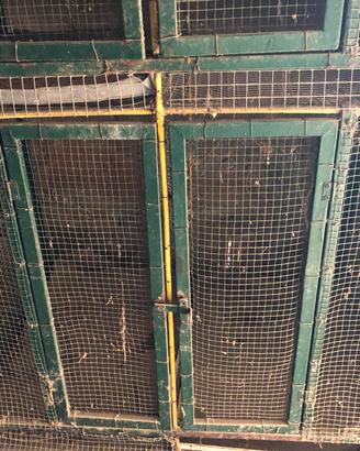 Gabbie per uccelli la grande 4 scomoarti grandi x