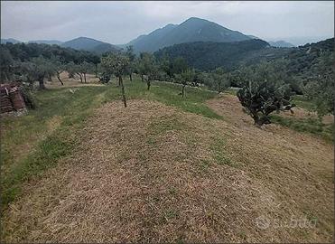 Terreno Agricolo a Norma