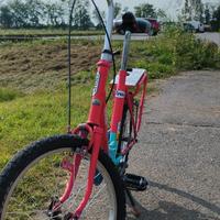 bicicletta graziella