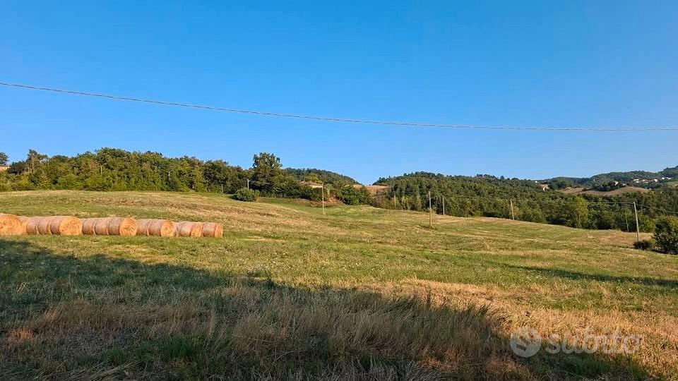 Rustico a Savigno con 10ha di terreno - Vista 4