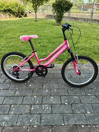 Bici e Reti con doghe.