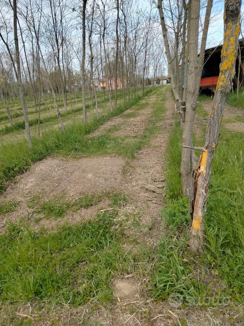 Terreno di 5400 mq - Vista 2