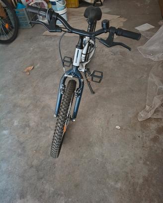 bicicletta