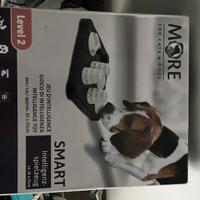 Gioco olfattivo cane