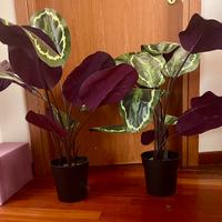 Pianta artificiale da interno