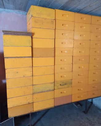 MELARI E ALTRO.  per cessata attività 