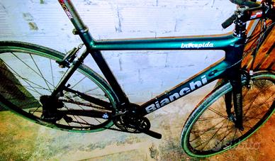 Bianchi intrepida 
