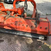 Trincio lipa semiforestale