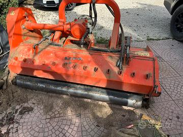 Trincio lipa semiforestale