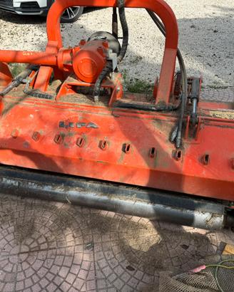 Trincio lipa semiforestale