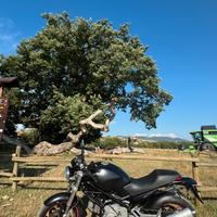 Ducati Monster dark 620 ie