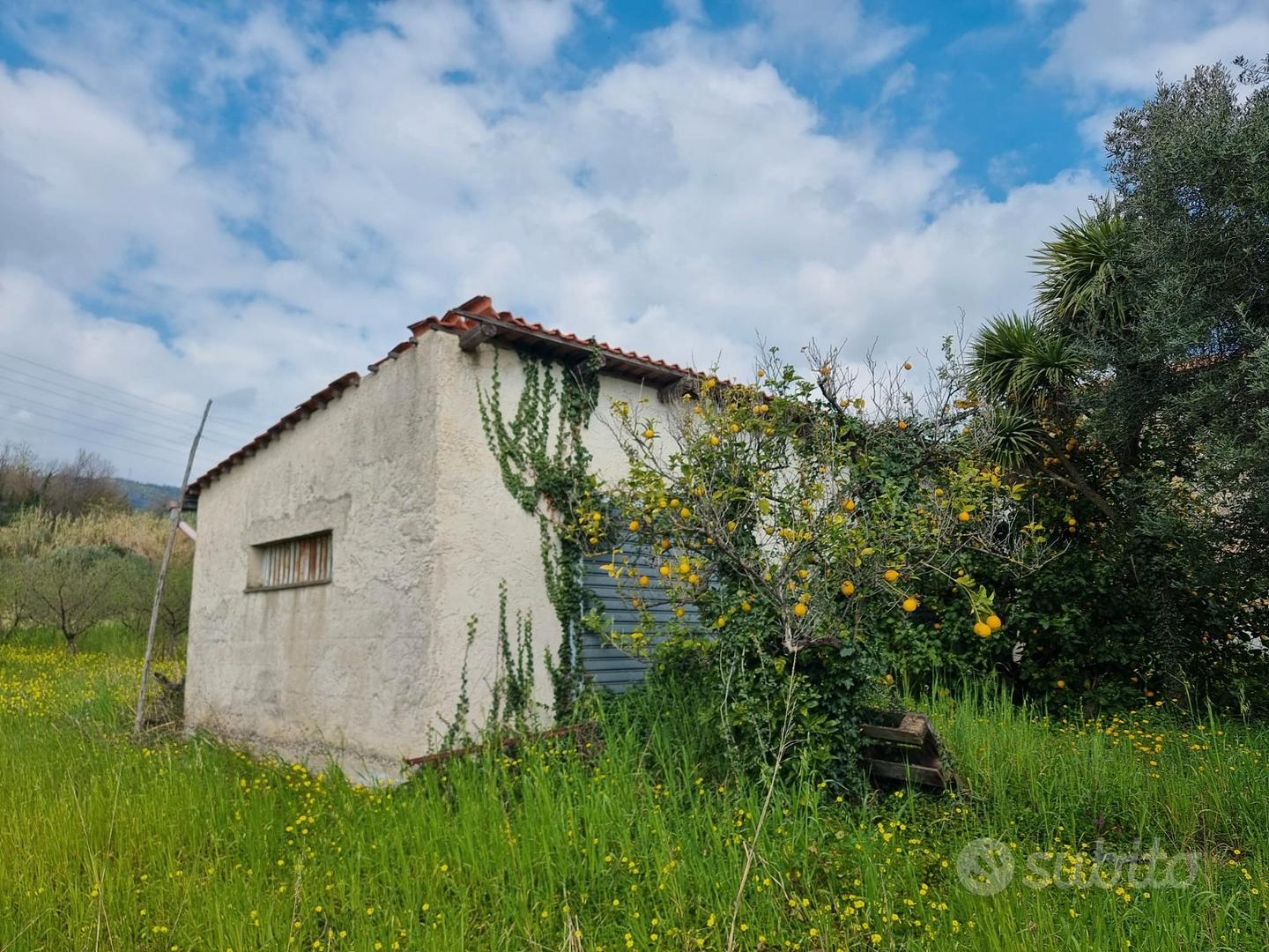 Terreno agricolo con capannone - Altro