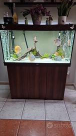 Acquario juwel 350lt 