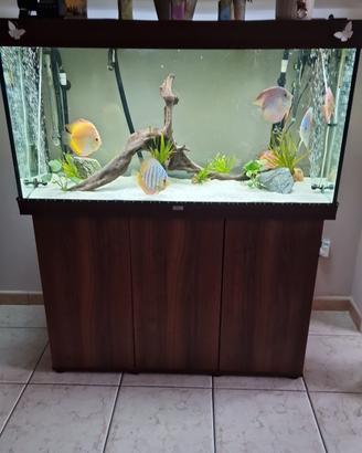 Acquario juwel 350lt 