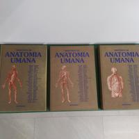 Trattato di Anatomia Umana 4a Edizione - Edi,Ermes
