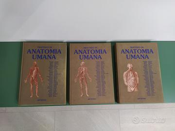 Trattato di Anatomia Umana 4a Edizione - Edi,Ermes