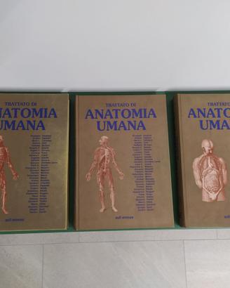 Trattato di Anatomia Umana 4a Edizione - Edi,Ermes