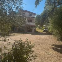 Donori: ampia villa con due ettari di terreno