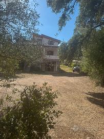 Donori: ampia villa con due ettari di terreno