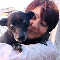 Bobby, super adozione del cuore