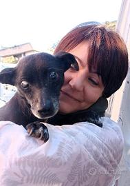 Bobby, super adozione del cuore