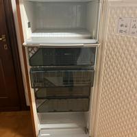 Congelatore Sangiorgio