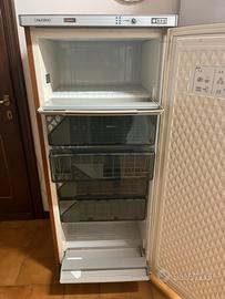 Congelatore Sangiorgio