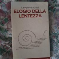 Elogio della lentezza