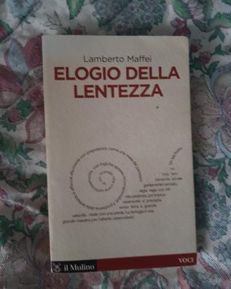 Elogio della lentezza