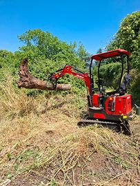 Escavatore deleks a80