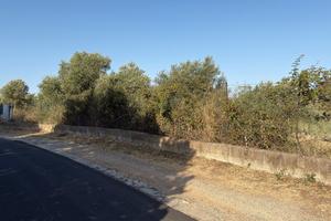 Terreno Agricolo/Pascolo 10.780 mq - Fronte Strada