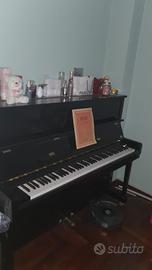 pianoforte hoffmayer