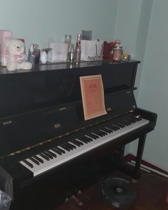 pianoforte hoffmayer