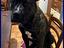 Immagine 3