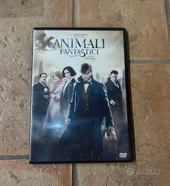 Dvd animali fantastici e dove trovarli