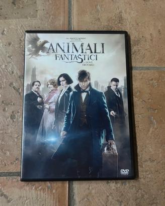 Dvd animali fantastici e dove trovarli