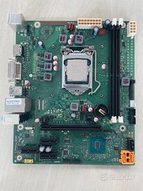 Scheda madre FUJITSU D3400-U1 + CPU i5-7400