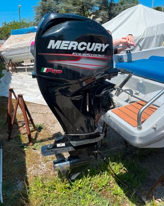 Barca open con Mercury 40/60