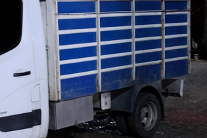 Trasporto animali vivi