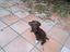 Immagine 5