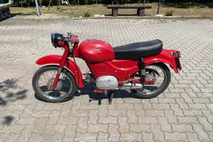 Zigolo 110