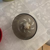 Ruota per criceti silenziosa