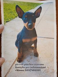 Pincher