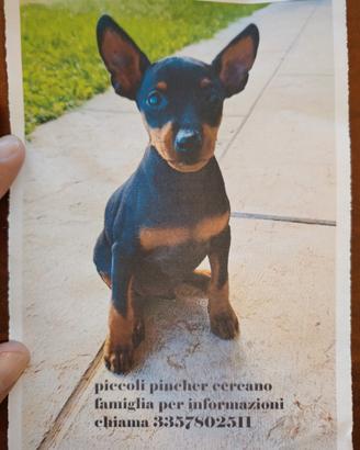 Pincher