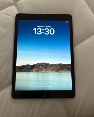 Ipad (9th Generation)